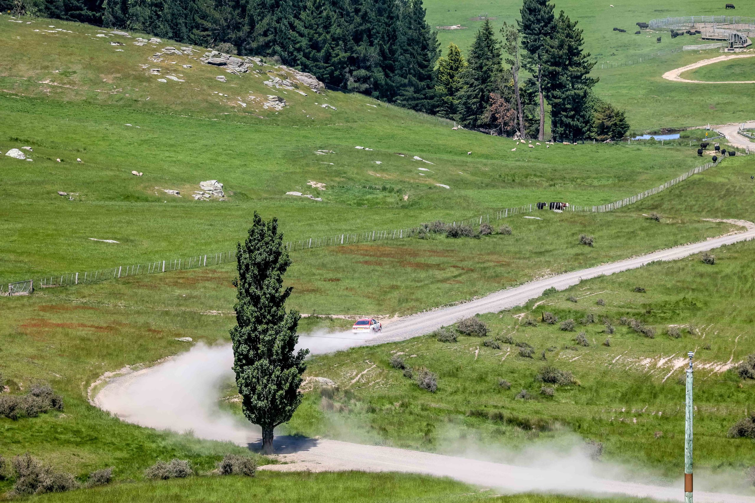Modern 2WD rally car on a fast flowing stage